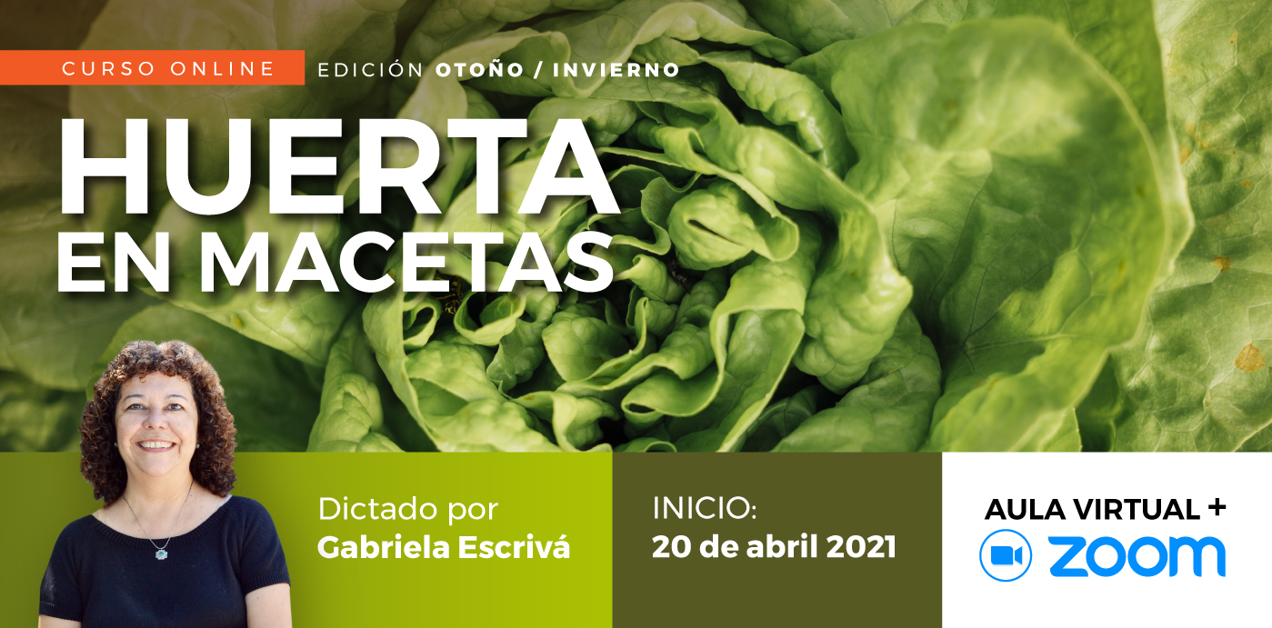 Huerta orgánica en Macetas Gabriela Escrivá