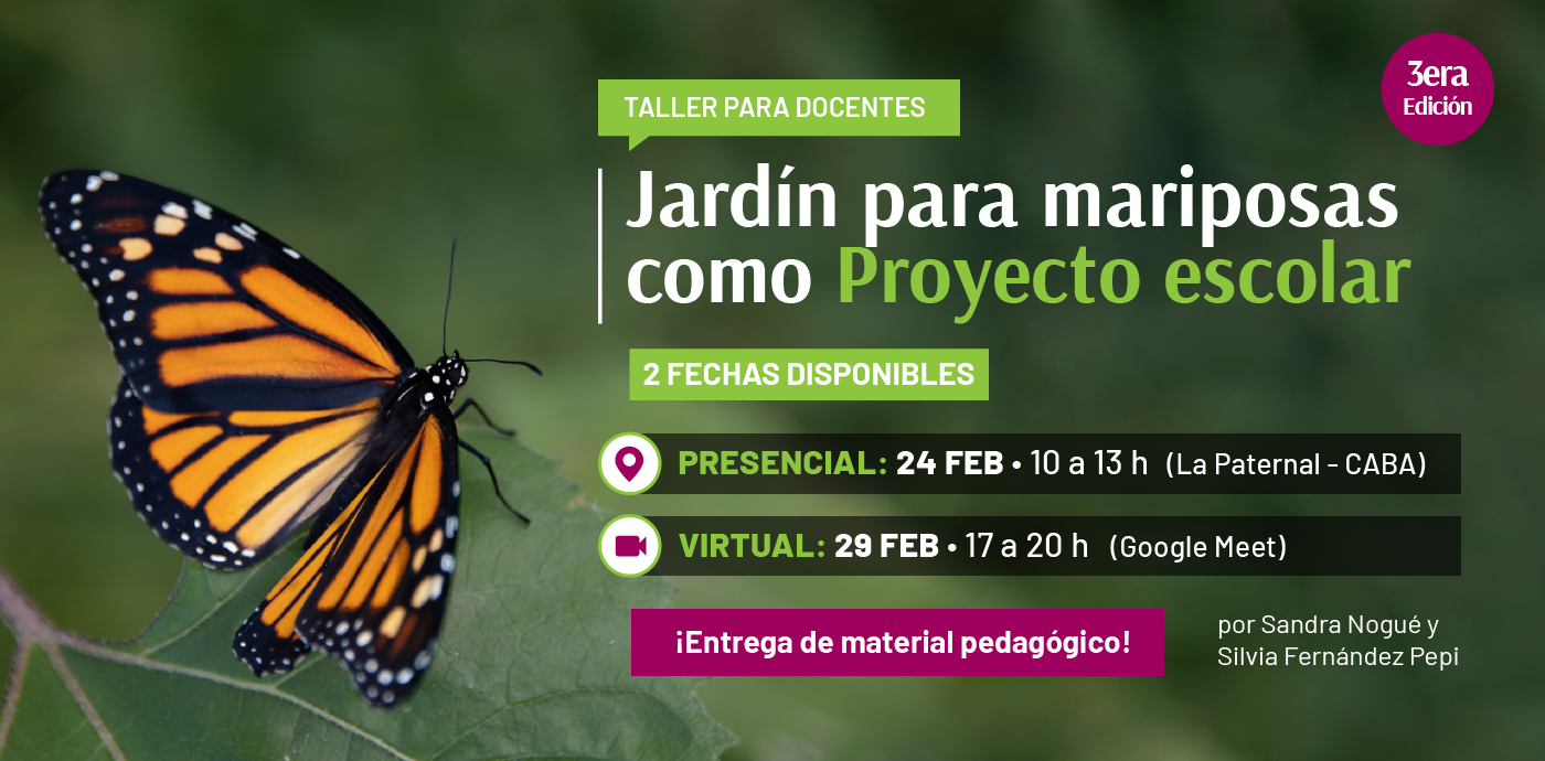 Taller para docentes | Jardín para mariposas como proyecto escolar