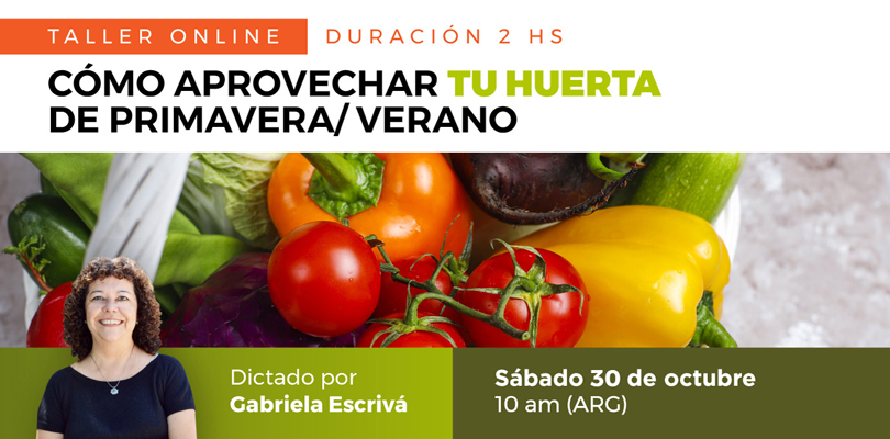 Taller de Huerta / Online