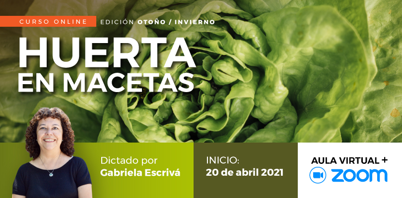 Huerta en Macetas Gabriela Escrivá