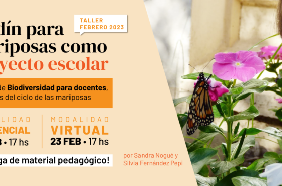 Taller Jardines para mariposas