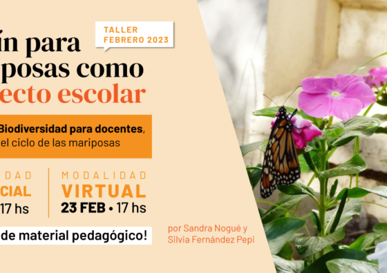 Taller Jardines para mariposas